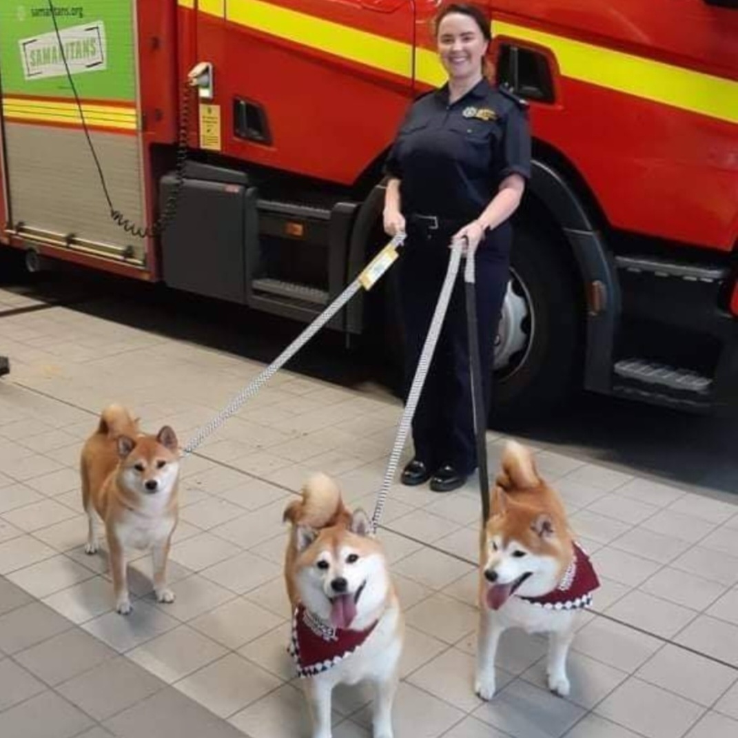 Brunette woman smiling in fire uniform holding the leads of three Shiba Inu therapy dogs stood infront of the woman. The woman and dogs are stood infront of a red fire engine.