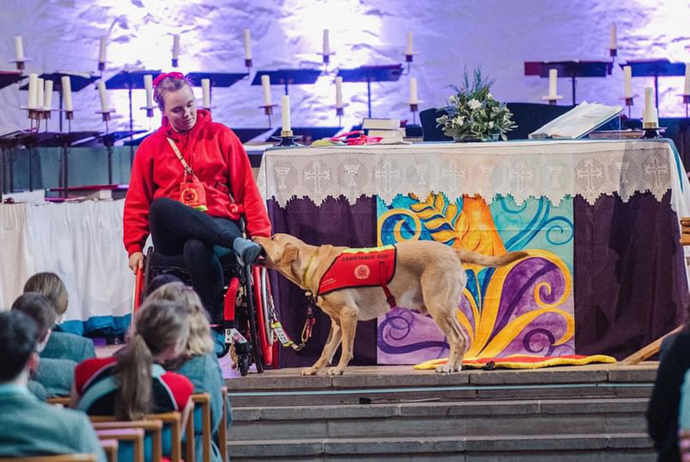 Chloe, a lady, is on a stage in front of school children. She is wearing a red DogAID jumper. Her Assistance Dog, Ocho, A yellow labrador, is wearing his bright yellow and red DogAID jacket and is demonstrating how he can remove her shoes.